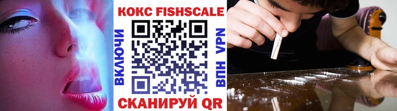 COCAIN Fish Scale  Миньяр 