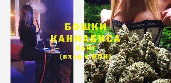 Альфа ПВП Медногорск